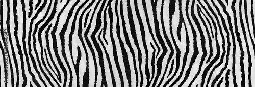 Fotografie, Obraz zebra print useful as a background