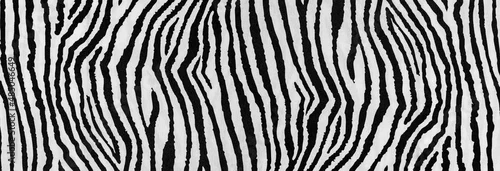 Obraz zebra print useful as a background