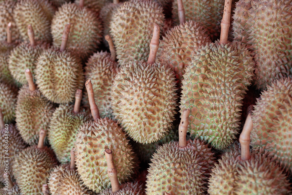 hidden selling durian hidden selling durian