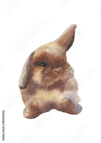 Cute rabbit. Watercolor illustration on a white background.
