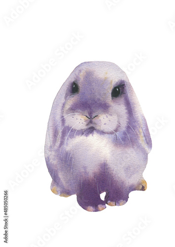 Cute rabbit. Watercolor illustration on a white background.