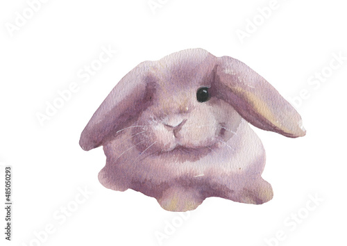 Cute rabbit. Watercolor illustration on a white background.