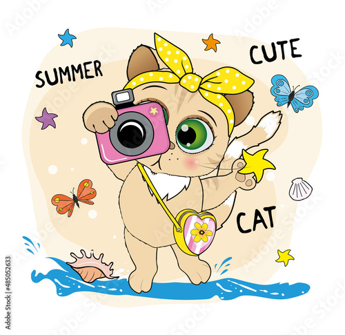 summer_cat_3