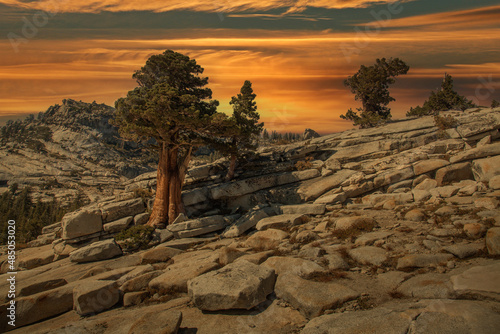 Canvas Print Southwest usa Yosemite National Park California valley pools mountains and forests
