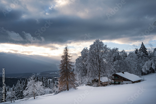 Winter forest with snow in the Bavarian Forest. Harsh winter landscape, beautiful snow-covered fir trees stand on a cold winter day. © CreativeImage