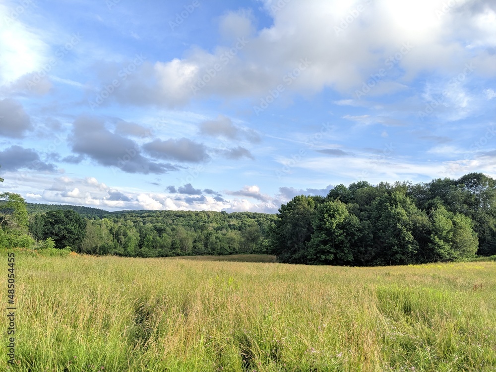 Obraz premium field and blue sky