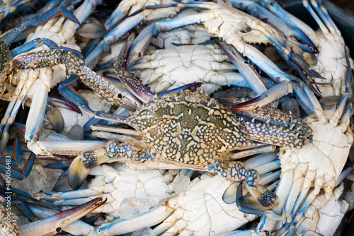 Fresh crabs on a fish market