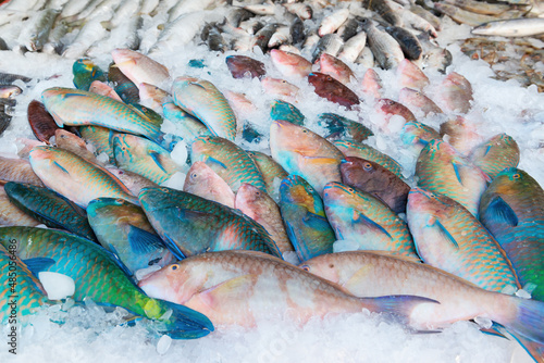 Fish in a market background