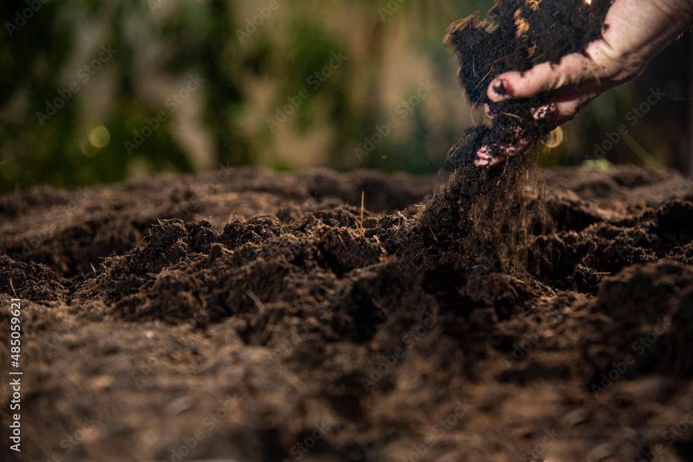gardener hand checking mixed soil gardener hand checking mixed soil