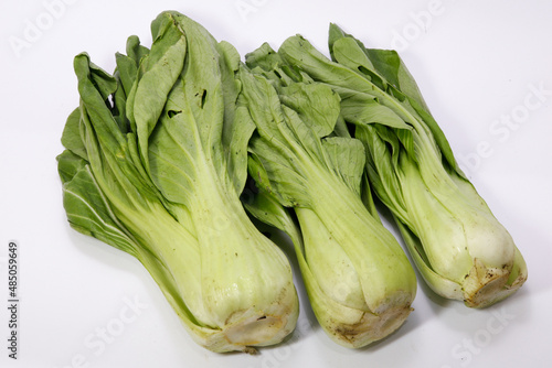 Brassica rapa subsp. chinensis or pak choi or bok choy isolated on white background