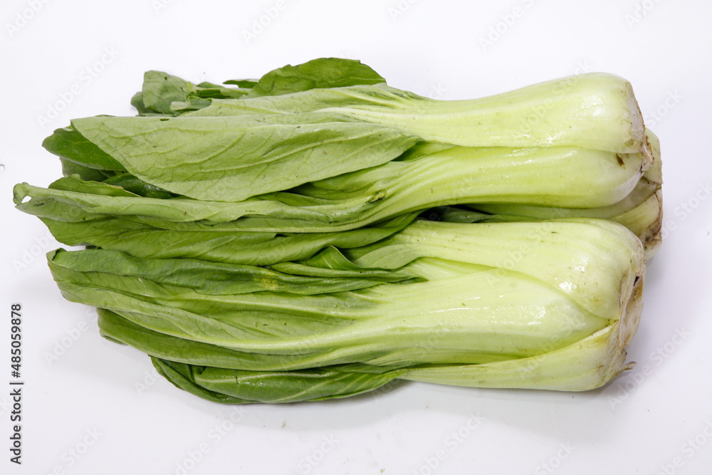 Brassica rapa subsp. chinensis or pak choi or bok choy isolated on white background Brassica rapa subsp. chinensis or pak choi or bok choy isolated on white background