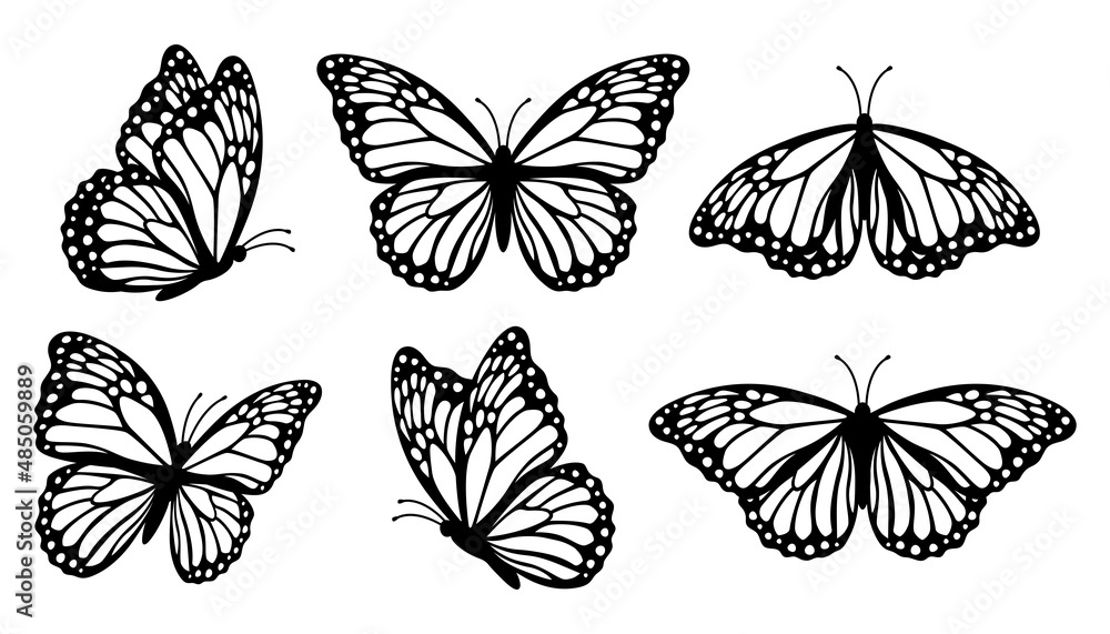 Monarch butterfly silhouettes collection, vector illustration isolated on white background - obrazy, fototapety, plakaty 