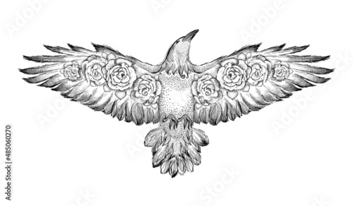 Flying bird with roses in wings, hand drawn