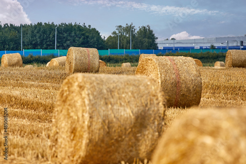 After the harvest