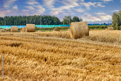 After the harvest
