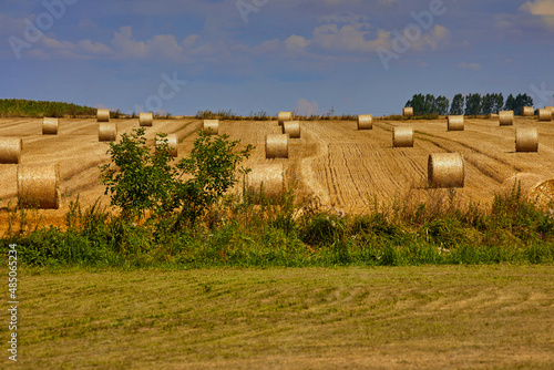 After the harvest
