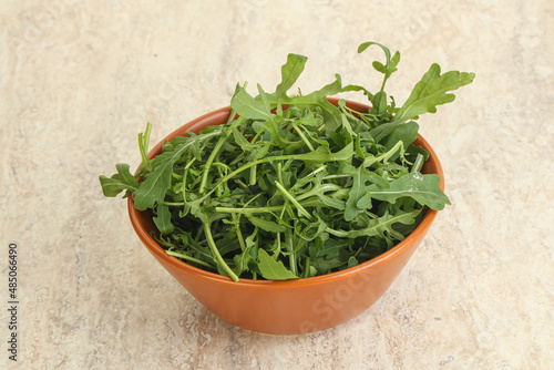 Fresh green arugula in the bowl