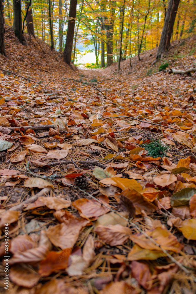 Herbst Herbst