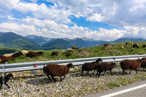 The high-mountain road to the tract of Jily-Su. Caucasus. Kabardino-Balkaria. Russia. photo