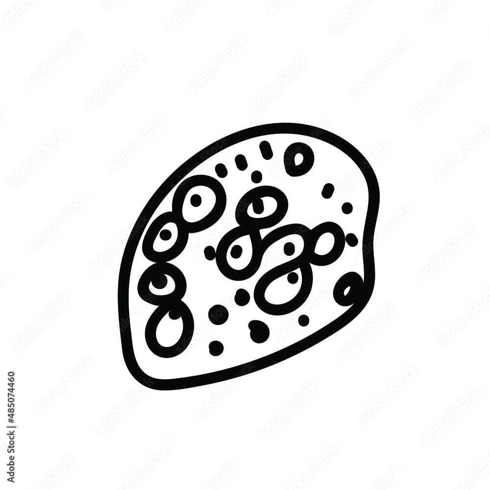 Vector simple illustration with Corals on white isolated background.Ocean,Summer underwater animal hand drawn in doodle style.Design for postcards,stickers,packages,social media,web,coloring.