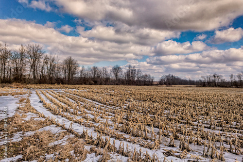 Looking out into a frozen corn field in the winter months.
