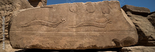 Fotografie, Obraz Reliefs at Karnak temple showing the deadly horned viper