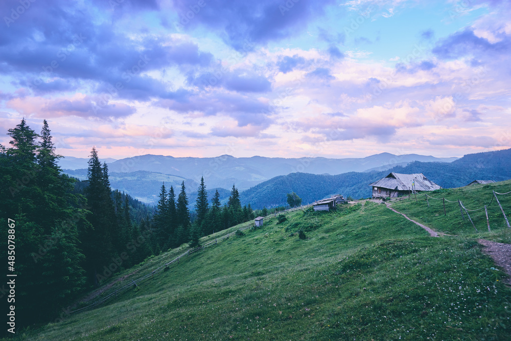 Naklejka premium Beautiful mountains landscape with green meadow and wooden house. Carpathians, Ukraine.