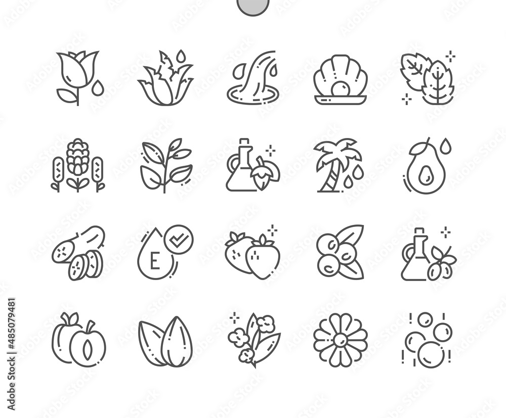 Fototapeta premium Cosmetic ingredients. Cucumber, rose, aloe vera, mint, lavender, jojoba and other. Vitamin E. Organic beauty and cosmetology. Pixel Perfect Vector Thin Line Icons. Simple Minimal Pictogram