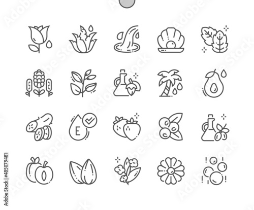 Cosmetic ingredients. Cucumber, rose, aloe vera, mint, lavender, jojoba and other. Vitamin E. Organic beauty and cosmetology. Pixel Perfect Vector Thin Line Icons. Simple Minimal Pictogram
