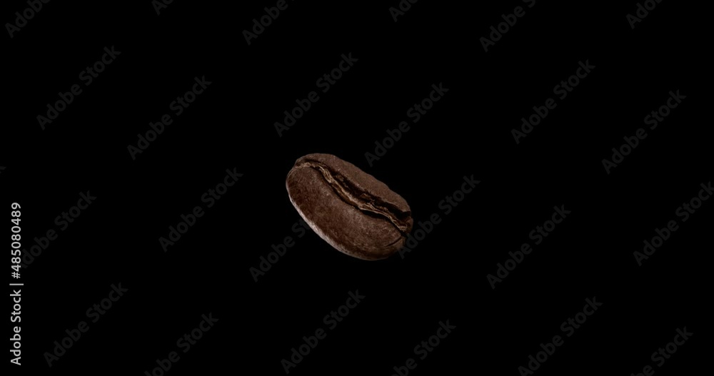 Macro shot of a roasted coffee bean flying up, shot against a dark background, a coffee bean flying up and rotating.Close up macro shot roasting coffee beans. Macro shot of a roasted coffee bean flying up, shot against a dark background, a coffee bean flying up and rotating.Close up macro shot roasting coffee beans.