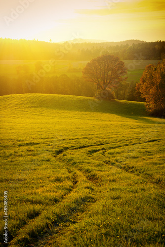 Herbst