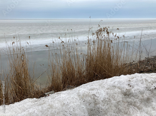 
frozen sea shore