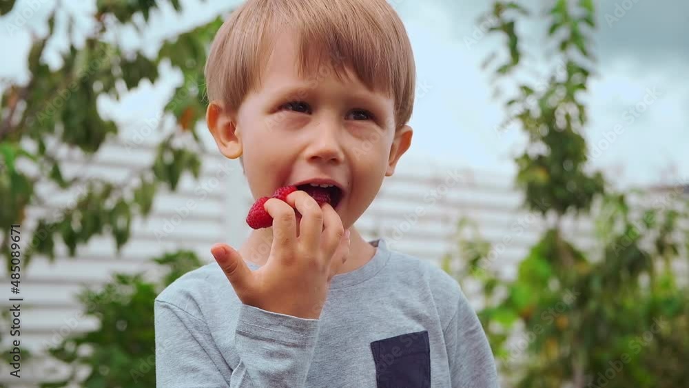 Happy Child 4 years old holding hands on fingers and eating raspberries in backyard Happy Child 4 years old holding hands on fingers and eating raspberries in backyard