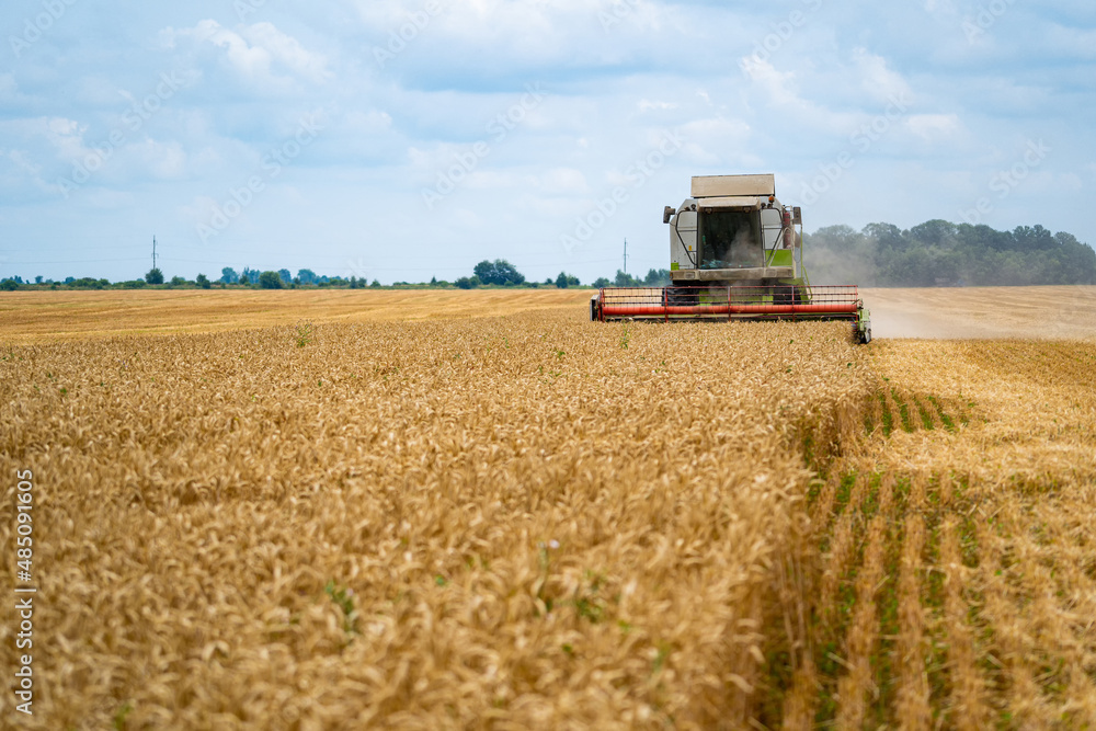 Fototapeta premium Agriculture process in wheat field. Heavy technics. Rural landscape. Harvest time.
