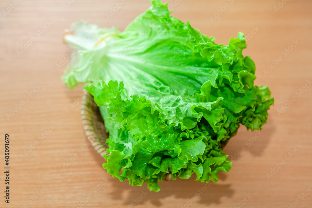 Green lettuce leaves . Vegetable rich in vitamins for salad Green lettuce leaves . Vegetable rich in vitamins for salad