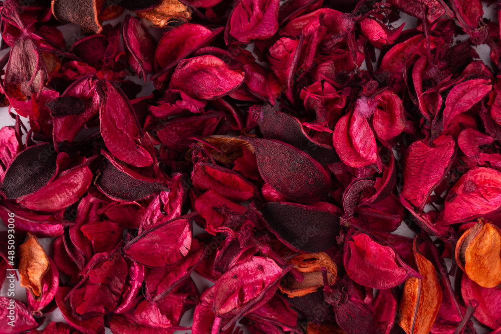 background of red tea tree petals
