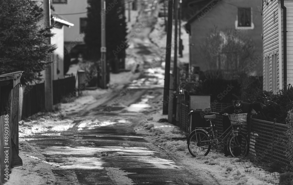 Fototapeta premium alley leading somewhere up. The road is broken, there are holes in it and it is cracked. The road is lined with houses. In the foreground, there is a bicycle with a dog in a basket.