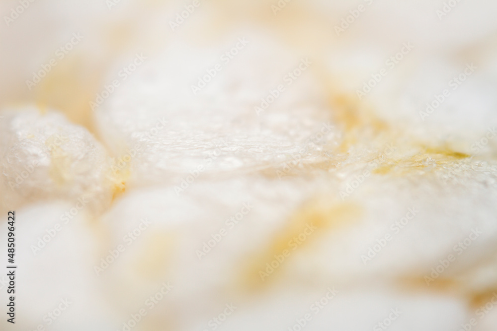 Extreme close up of diet rice cracker texture