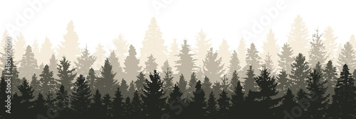 Forest panorama. Wood landscape. Variety of pine trees. Vector EPS 10