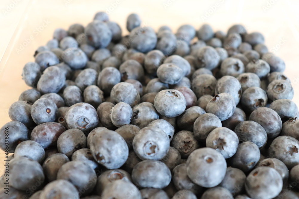 Fresh Blueberry background. Texture blueberry close up. Fresh summer berries. Top view. High quality photo Fresh Blueberry background. Texture blueberry close up. Fresh summer berries. Top view. High quality photo