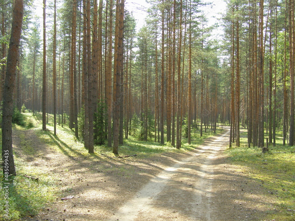 Fototapeta premium OLYMPUS DIGITAL CAMERA