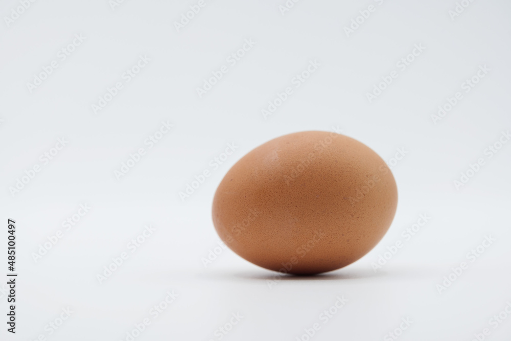 A brown egg placed horizontally on a plain white background. A brown egg placed horizontally on a plain white background.