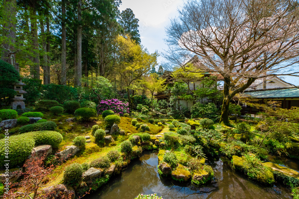 春の京都・大原の三千院で見た、緑が広がる聚碧園の風景と快晴の青空