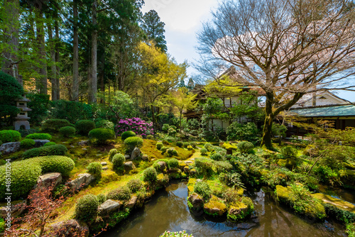 春の京都・大原の三千院で見た、緑が広がる聚碧園の風景と快晴の青空