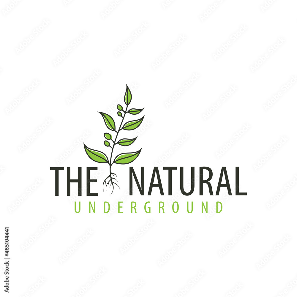 Graphic tree logo template with stylized leaves growing from, vector illustration. This type of tree logo is extended with the concept of tree, environment, roots