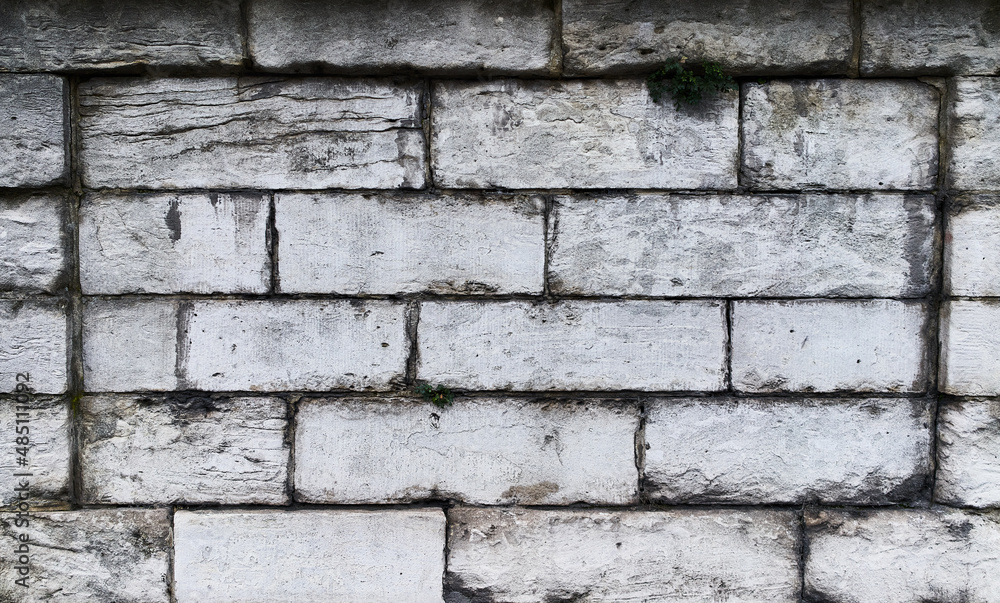 Fototapeta premium Stone brick wall surface background