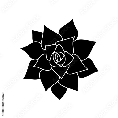 Succulent echeveria in simple style, vector illustration. Desert flower for print and design. Silhouette mexican plant, graphic isolated element on a white background. Houseplant for decor interior