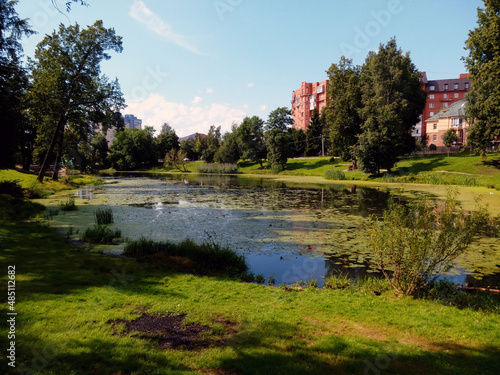  Beautiful overgrown pond in the city park in good weather