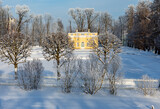 Catherine park landscape in winter, Tsarskoe Selo (Pushkin), Saint Petersburg, Russia