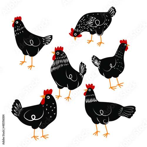 Cute and funny colorful farm rooster, chicken,cock, cockerel, cartoon vector illustration.